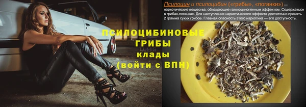 ГАЛЛЮЦИНОГЕННЫЕ ГРИБЫ Гусев