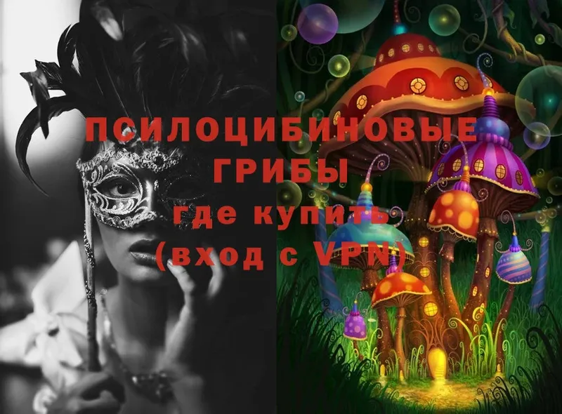 где купить наркоту  Ахтубинск  Галлюциногенные грибы MAGIC MUSHROOMS 